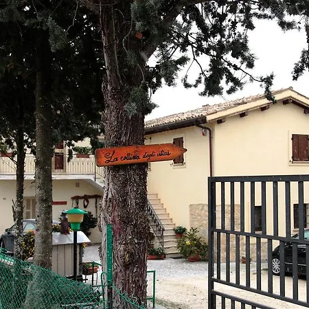 La Collina Degli Ulivi Appartamento *