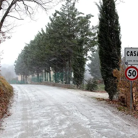 La Collina Degli Ulivi