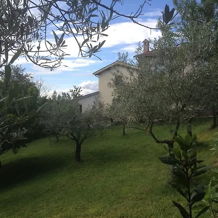 Appartamento La Collina Degli Ulivi *