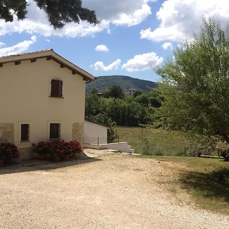 La Collina Degli Ulivi