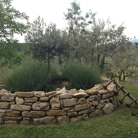 Appartamento La Collina Degli Ulivi