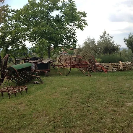 La Collina Degli Ulivi Giano dellʼUmbria