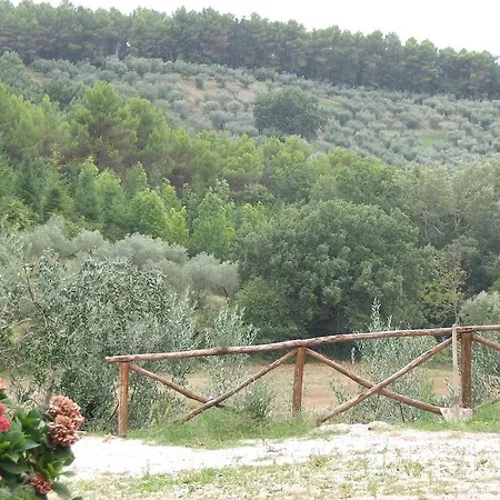 La Collina Degli Ulivi
