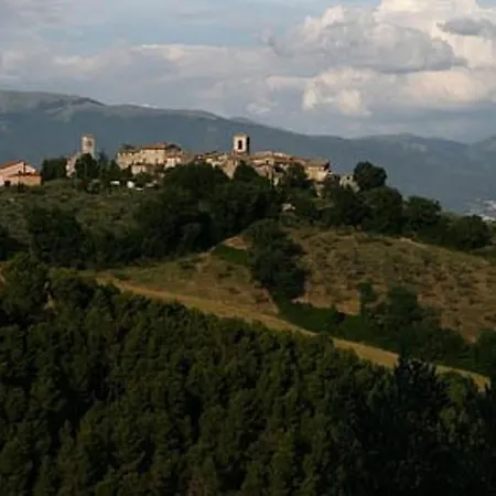 La Collina Degli Ulivi