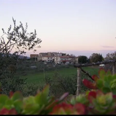 Appartamento La Collina Degli Ulivi *