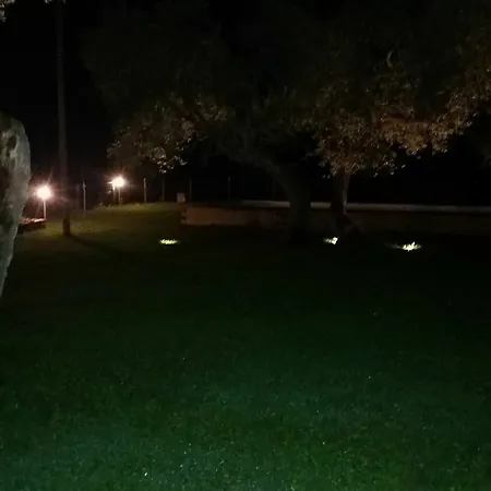 La Collina Degli Ulivi *