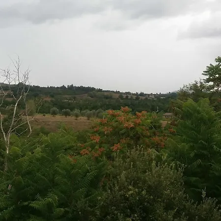 La Collina Degli Ulivi * Perugia