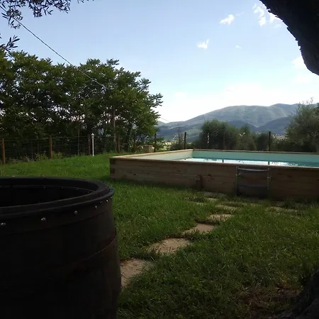 La Collina Degli Ulivi