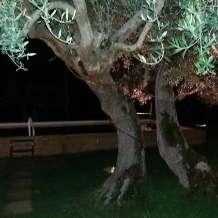 Villa La Collina Degli Ulivi *