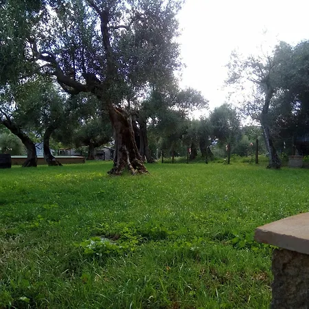 La Collina Degli Ulivi Villa
