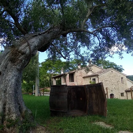 Villa La Collina Degli Ulivi Perugia